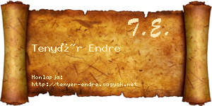 Tenyér Endre névjegykártya